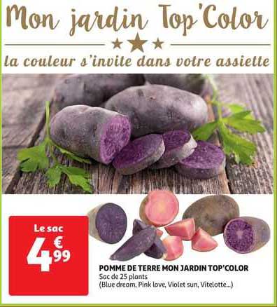 pomme de terre mon jardin top'color