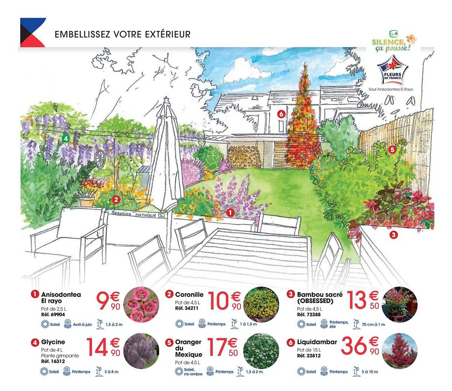 Anisodontea El Rayo, Glycine, Coronille, Oranger Du Mexique, Bambou Sacré, Liquidambar