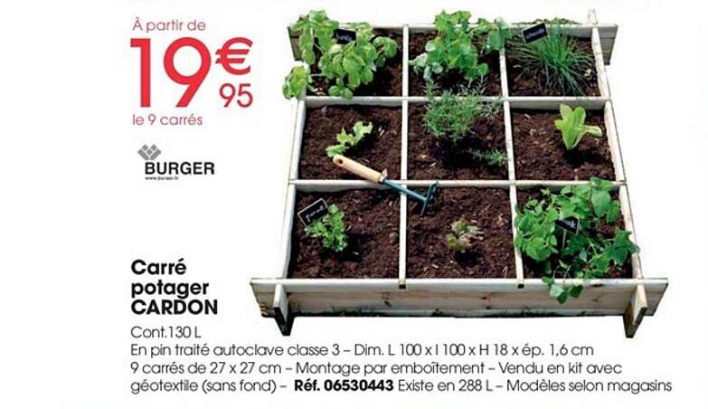 Carré Potager Cardon