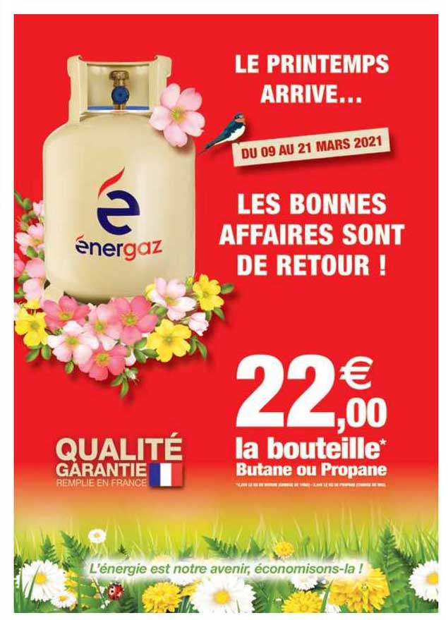 la bouteille butane ou propane