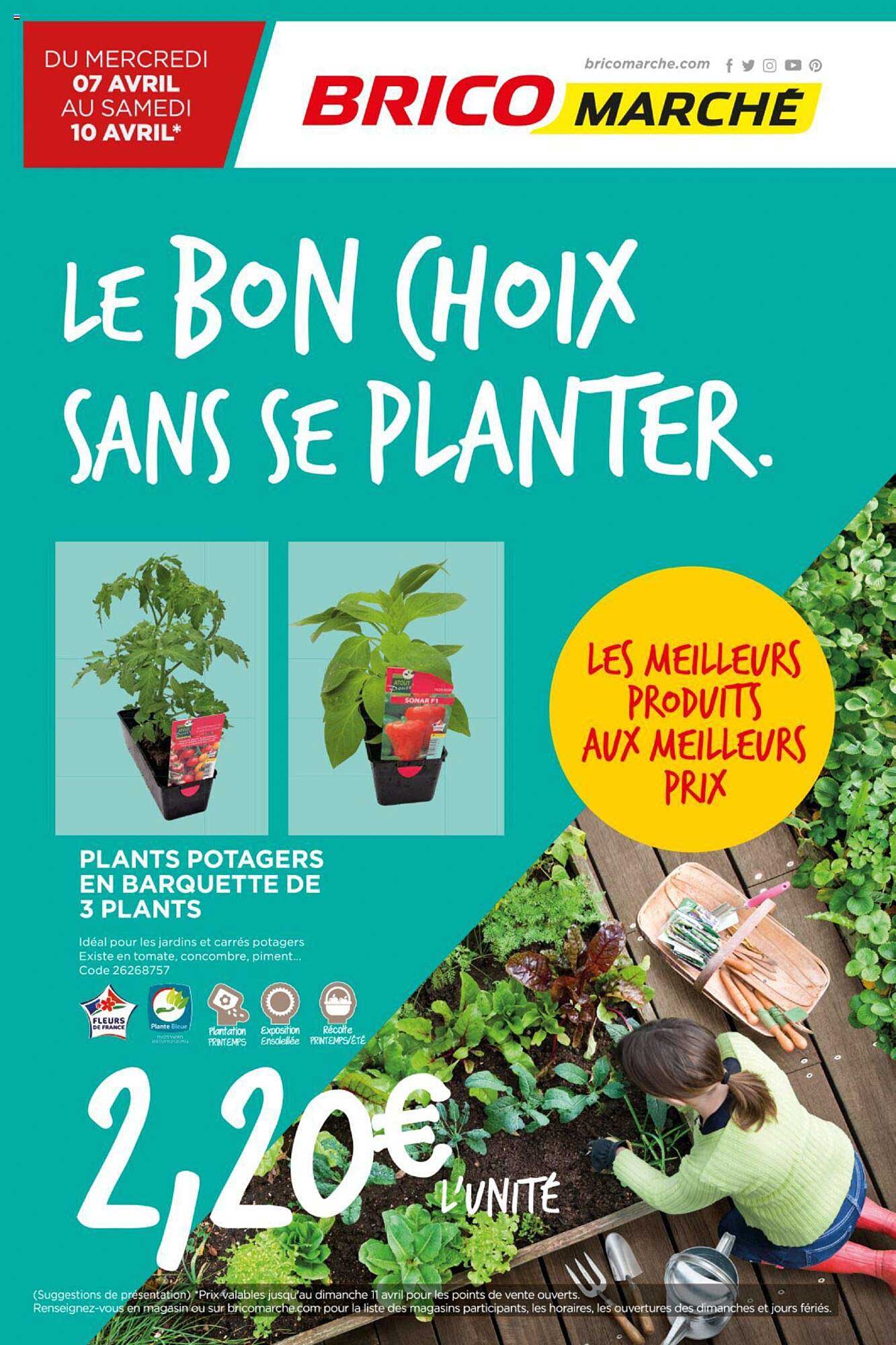 plantes potagers en barquette de 3 plants