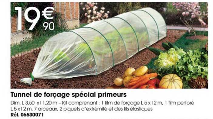 tunnel de forçage spécial primeurs