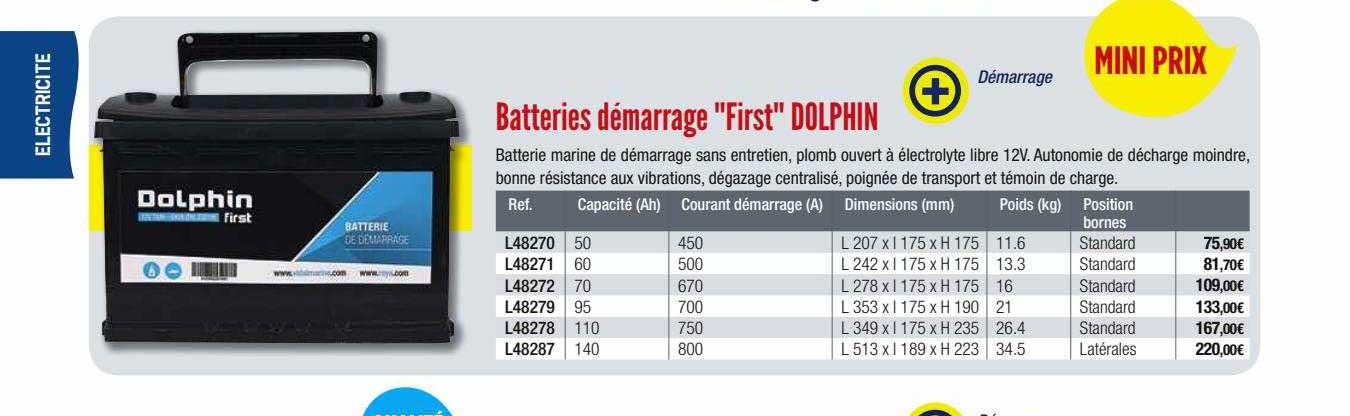 batteries démarrage "firts" dolphin