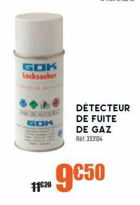 détecteur de fuite de gaz