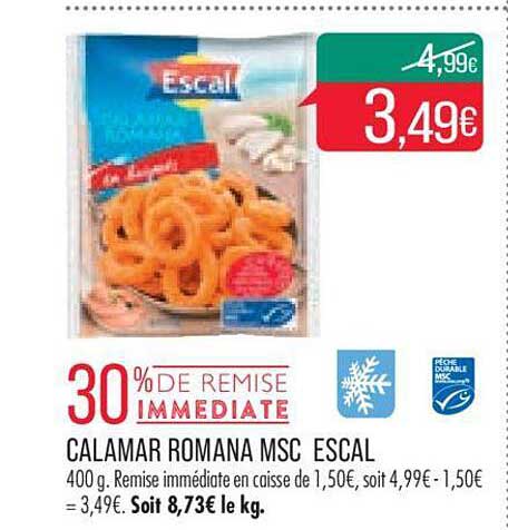 Calamar Romana Msc Escal