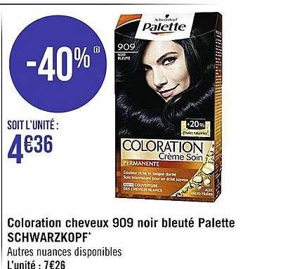 coloration cheveux 909 noir bleuté palette schwarzkopf
