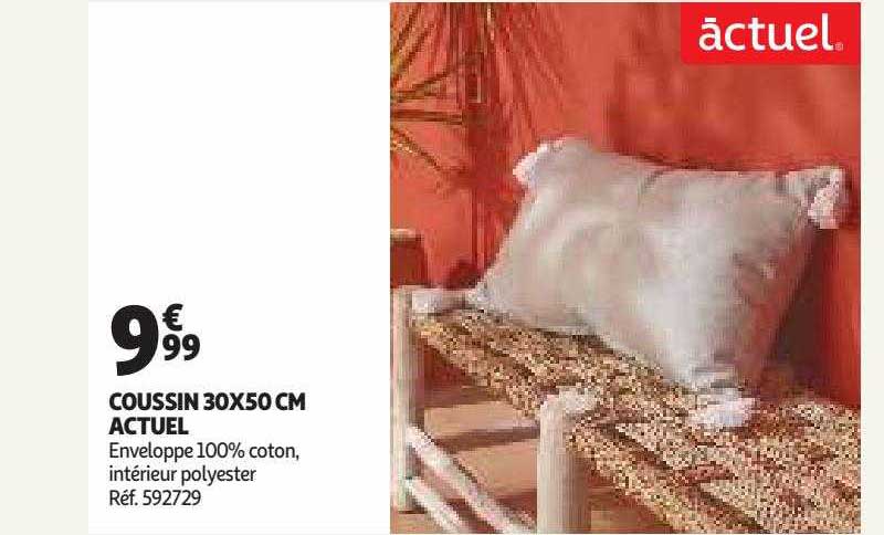 Coussin 30 X 50 Cm Actuel