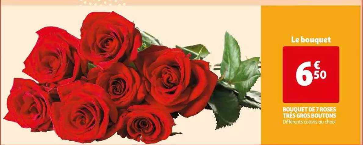 bouquet de 7 roses très gros boutons
