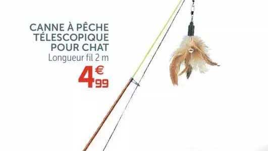 Canne à Pêche Télescopique Pour Chat