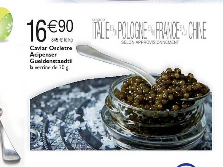 caviar oscietre acipenser gueldenstaedtii