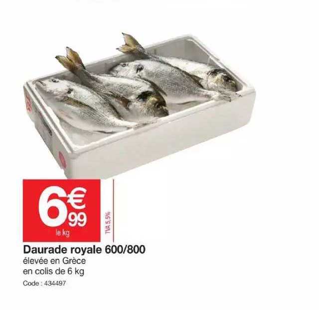 Daurade Royale 600-800