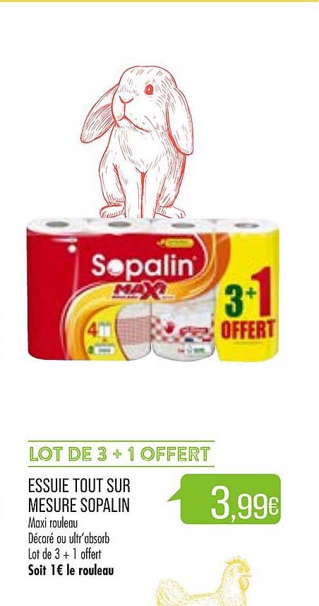 essuie tout sur mesure sopalin