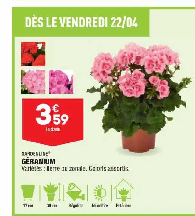 Géranium Gardenline