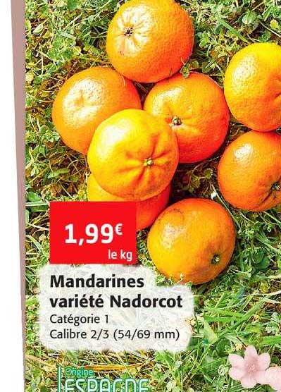 mandarines variété nadorcot