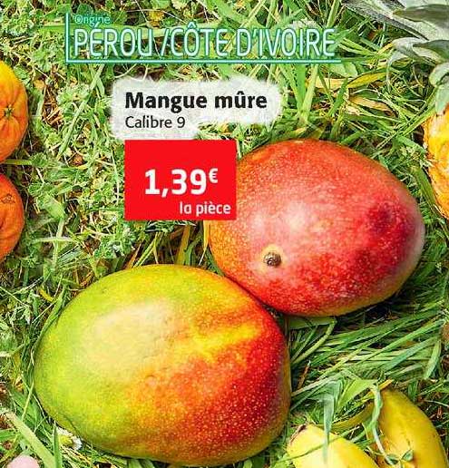 Mangue Mûre
