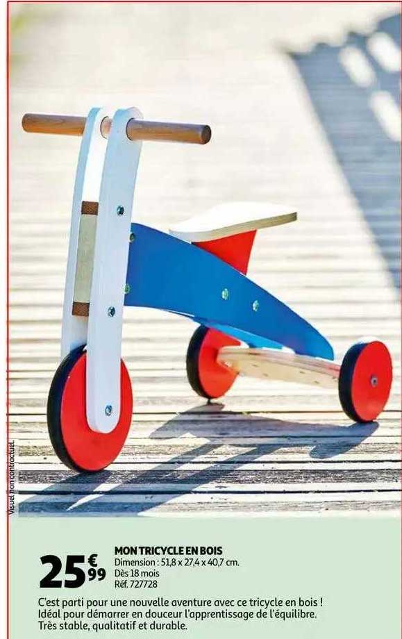 mon tricycle en bois