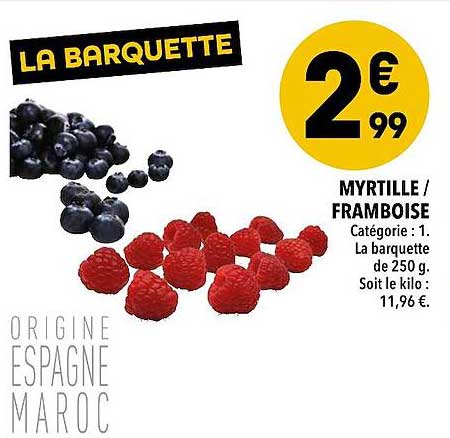 Myrtille - Framboise