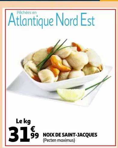 noix de saint-jacques