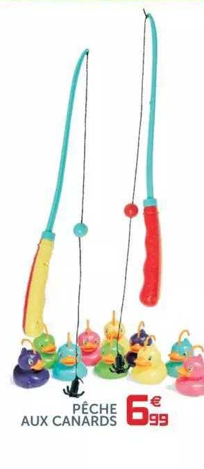 Pêche Aux  Canard