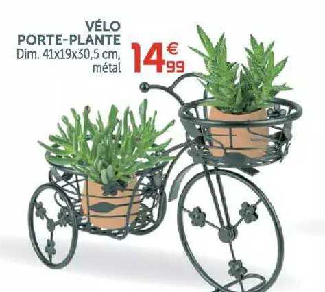 vélo porte-plante