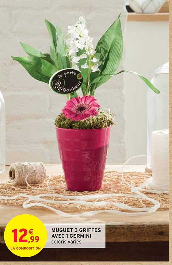 muguet 3 griffes avec 1 germini
