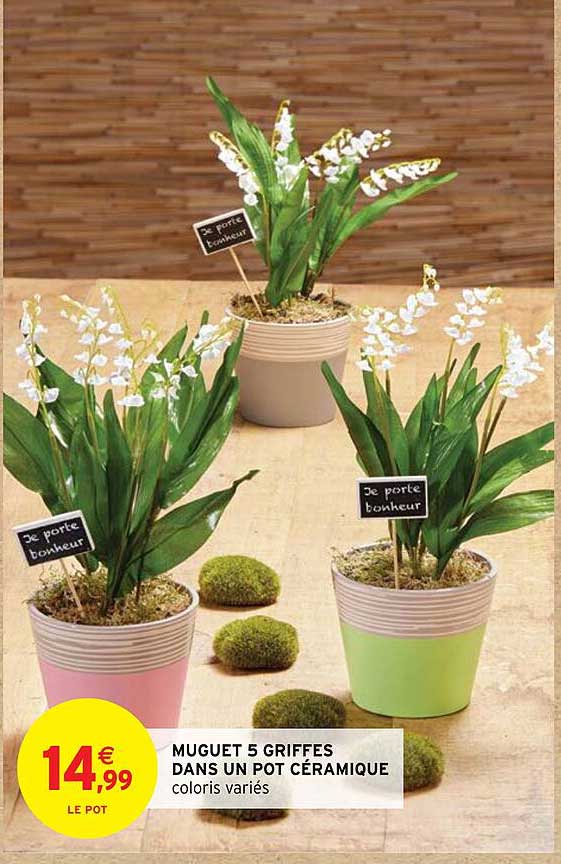 muguet 5 griffes dans un pot céramique