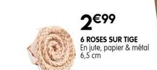 6 roses sur tige