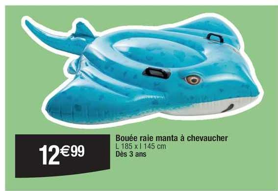 bouée raie manta à chevaucher