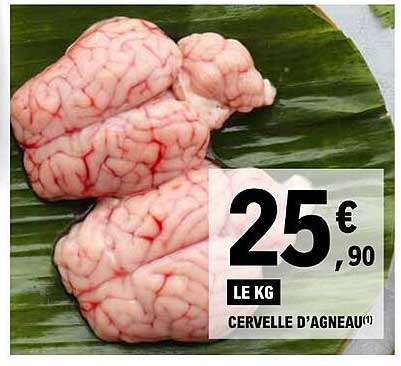 cervelle d'agneau