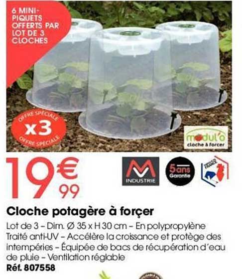 cloche potagère à forçer