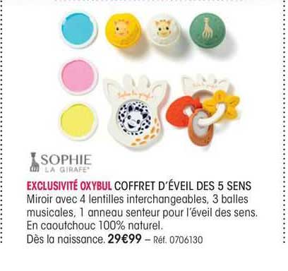 coffret d'éveil des 5 sens sophie la girafe