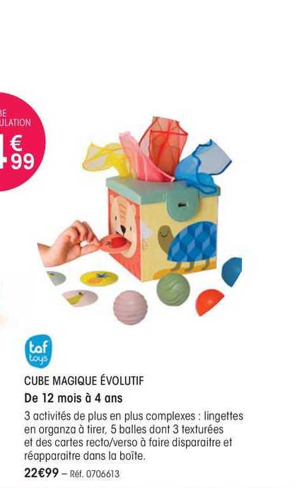 Cube Magique évolutif Taf Toys
