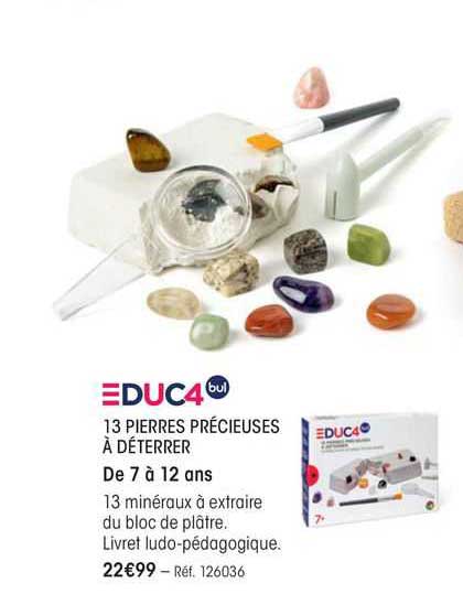 educ4 bul 13 pierres précieuses à déterrer