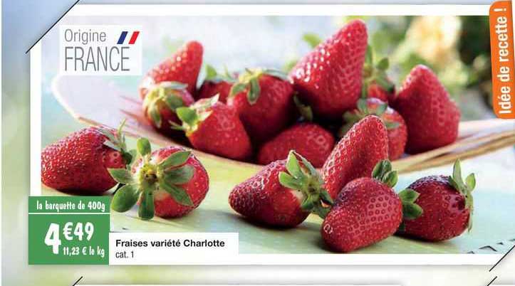 fraises variété charlotte