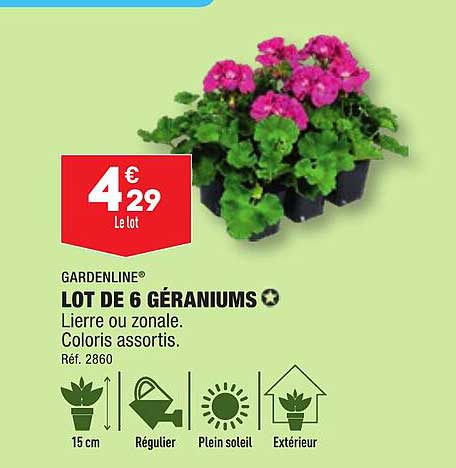 gardenline lot de 6 géraniums