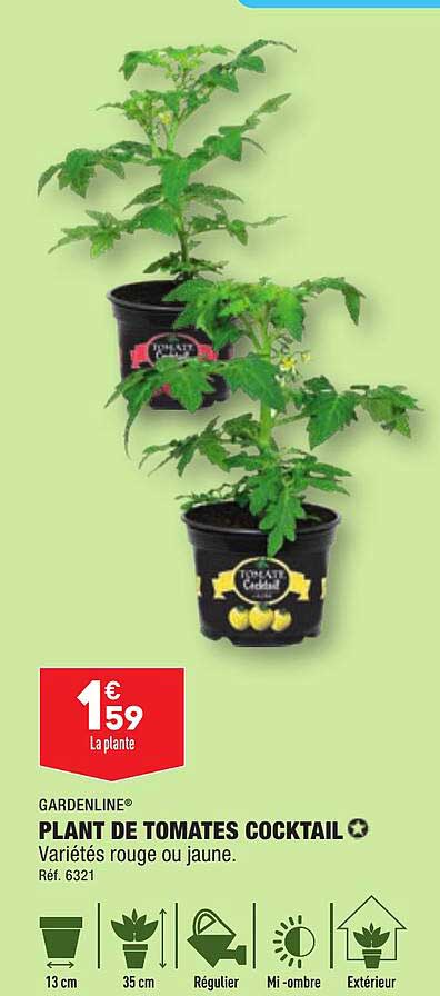 gardenline plant de tomates cocktail