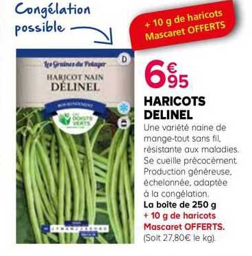 haricots delinel