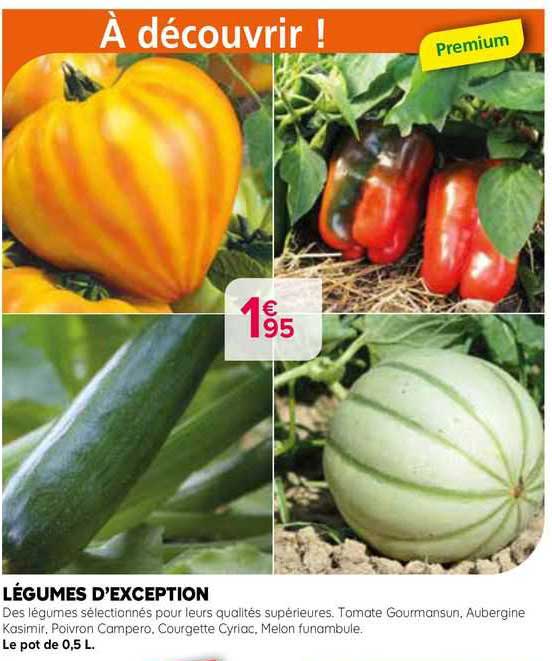 légumes d'exception