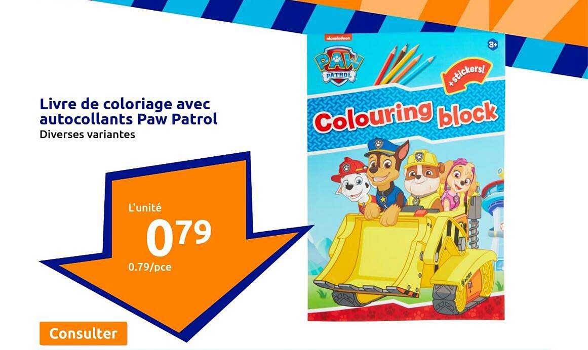 livre de coloriage avec autocollants paw patrol