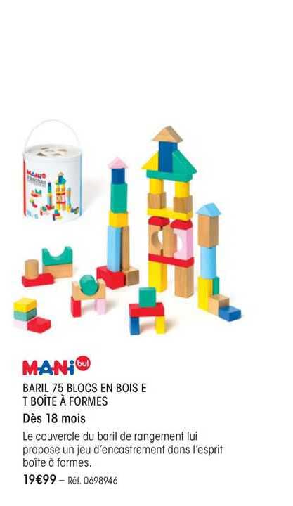 mani bul baril 75 blocs en bois et boîte à formes