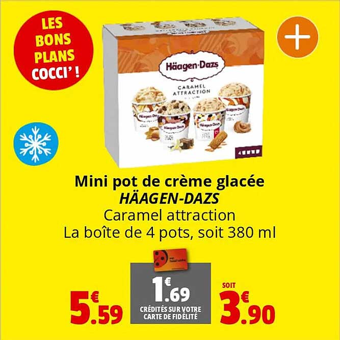 mini pot de crème glacée häagen-dazs caramel atraction la boîte de 4 pots