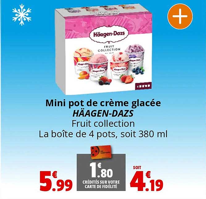 mini pot de crème glacée häagen-dazs