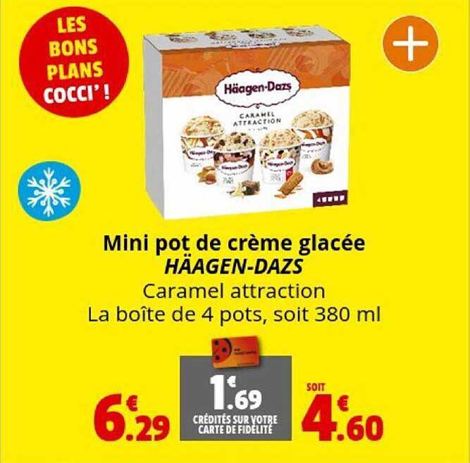 mini pot de crème glacée häagen-dazs