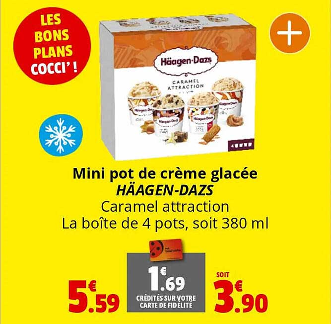 mini pot de crème glacée häagen-dazs