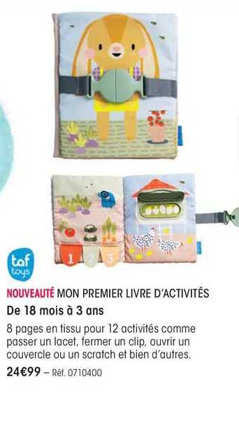 mon premier livre d'activités taf toys