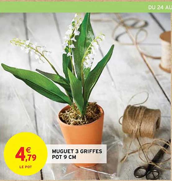muguet 3 griffes pot 9 cm