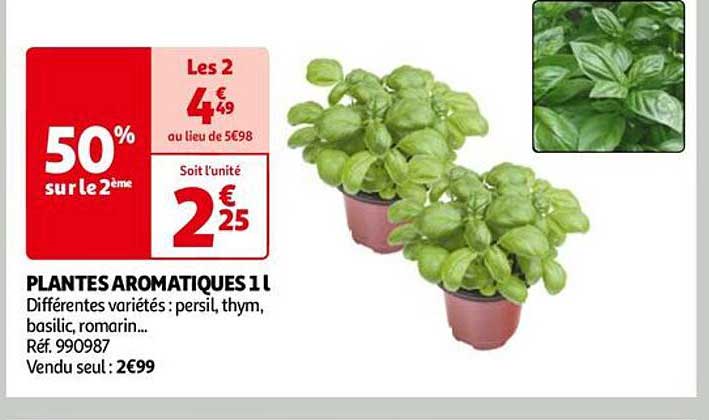Plantes Aromatiques 1 L