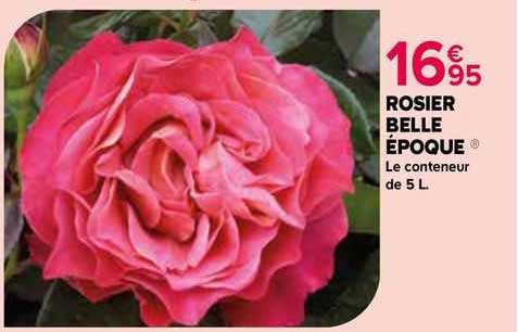 rosier belle époque