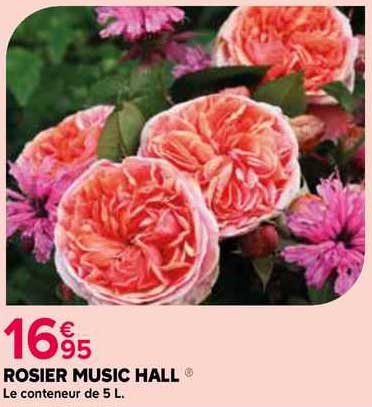 rosier music hall