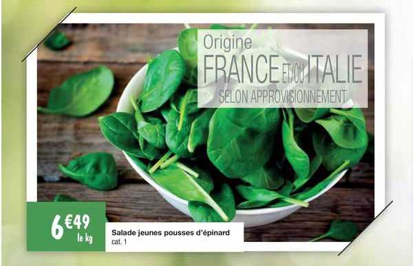 salade jeunes pousses d'épinard